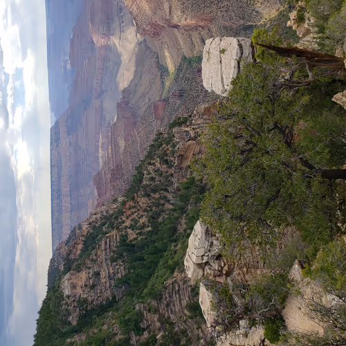 Crand Canyon Views