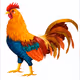 The Cocky Roosters