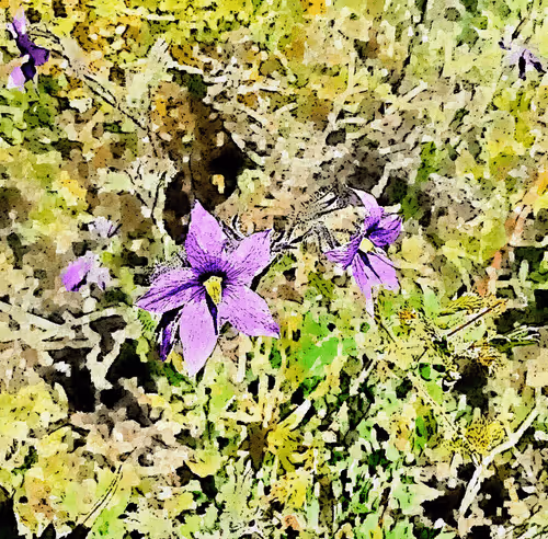 Item #23586274718377853504826207668531862457816485670593798671801516801148112076801 Media