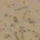47534723190910201803373953412832831121130779528333602938761817155638642343937