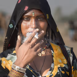 60287013377880718845816992930397545887846349897242843346641766875113367535626