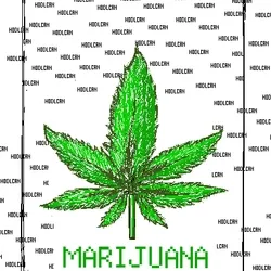 HODLcan Marijuana Protein 3/4