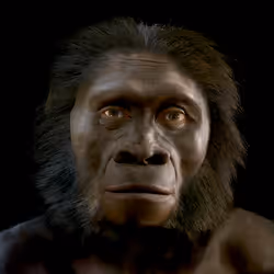 2749212597480566319420670968386715303055052819437880047570039898481820172376