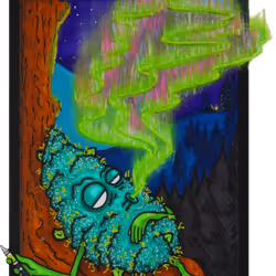 NORTHERN LIGHTS