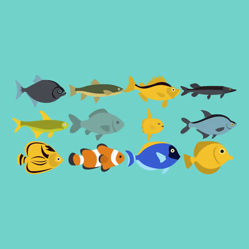 Item #70801528774607367384999374971377128836362529852302722704353113731495098318849 Media