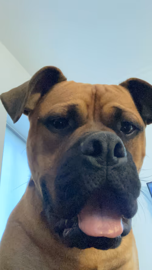 Item #39607713736222948399749264934412981404452828132482058885584524929095721549825 Media