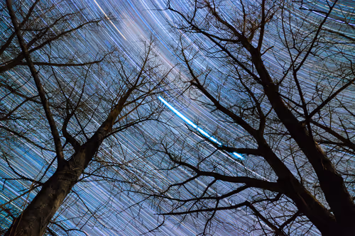 Item #23994447137093273447710670697087016153262800744699282660931118966649051414529 Media