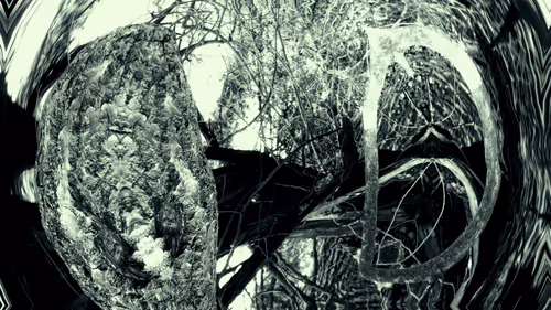 Item #24967146477419090921560663038626653354572651960968859782515528554900659109889 Media