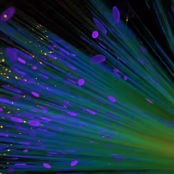 18213777350840045628186174046519911781917879366610239382278114173967772155905