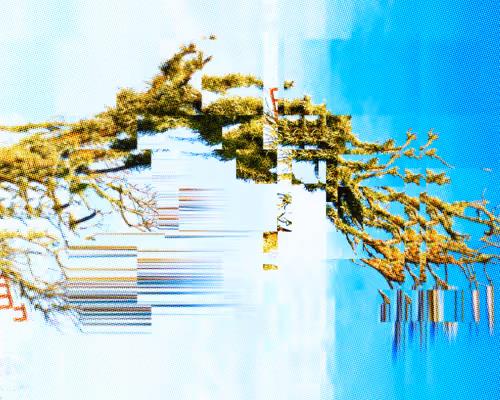 Item #107916259476164807250970753368899698568403674003143293495325882048093798531073 Media