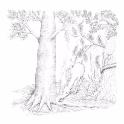 13934243290529806368964585825036521935178473085357694684673957314000337240065