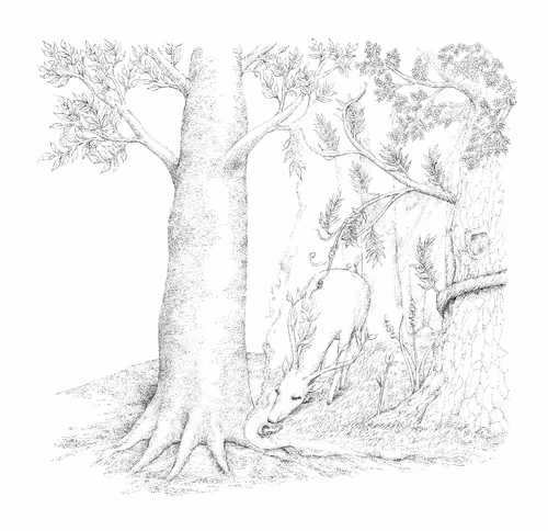 Item #13934243290529806368964585825036521935178473085357694684673957314000337240065 Media