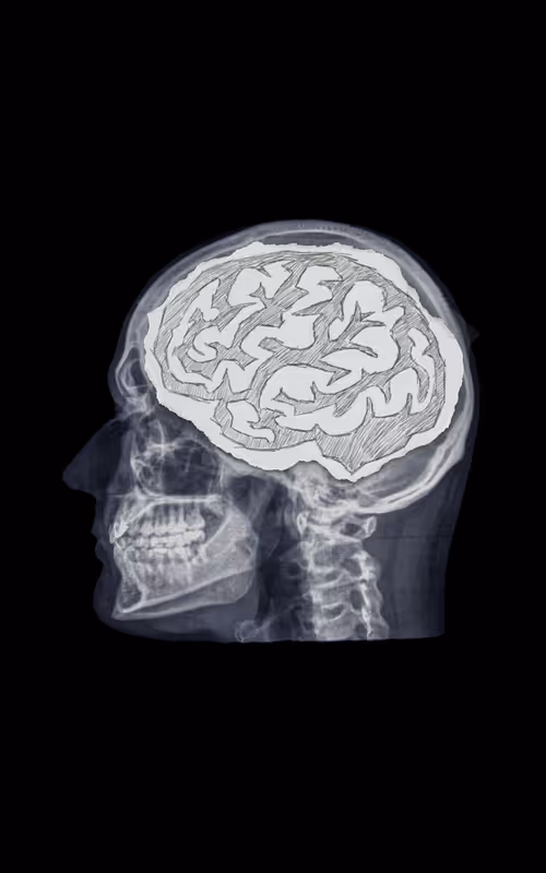 Item #24230885534779484670501703553684953274983737514794072512407783985155118465025 Media