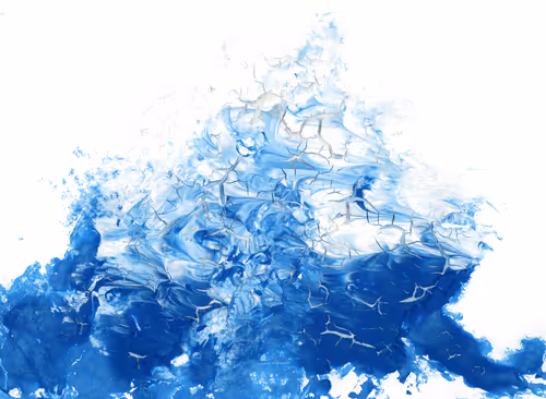 Item #66736690279118703969670916342624545511909248920861244220246673143172375248901 Media