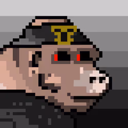 78562334819432585494031869263733465664190744212733596773807754960580944855041