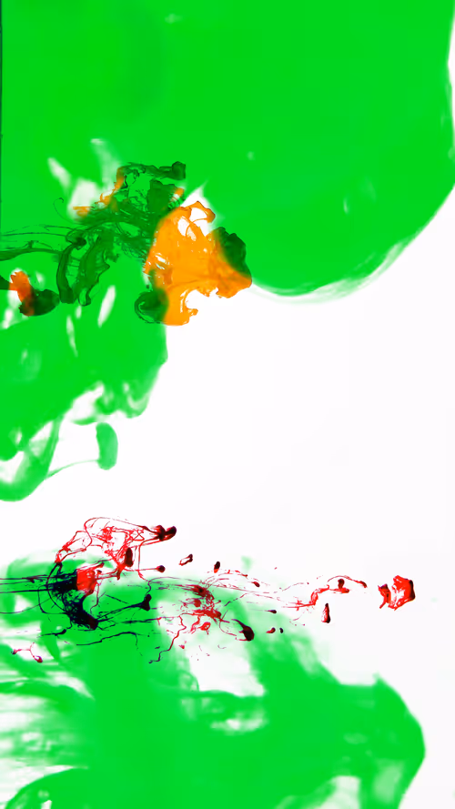 Item #31305712980941030161867633175304117506253559023819364015858336220605742841857 Media