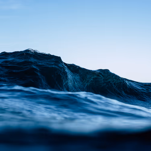Liquidscapes
