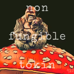 Non Fungible Tokin