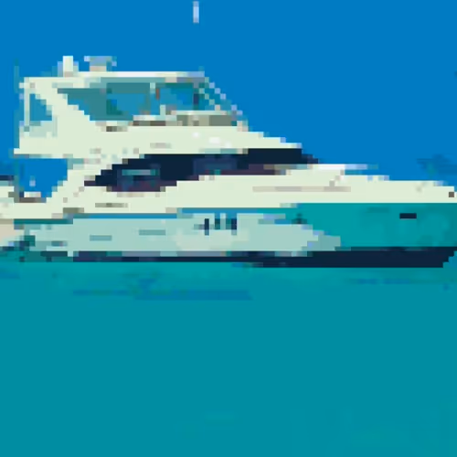 figaritocrypto Collection