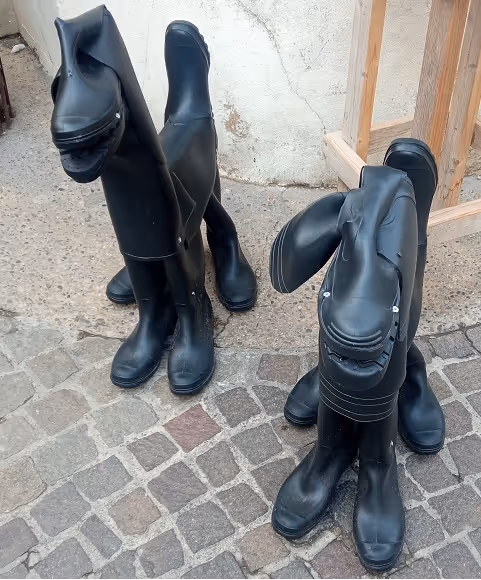 Item #41984921199182874864094388930978196358806648927891017657933937818262478782465 Media