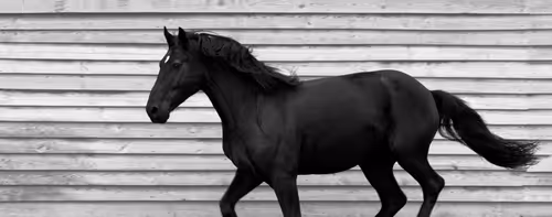 Item #74661804639461098708131462223609063755981185112722833040679211585684224606209 Media