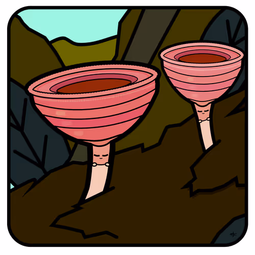 Item #66492061377330858312394959550715582150063143788271338571324127707714746843137 Media