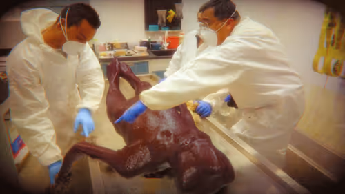 Item #53087923524339814745884647961586117102137361801337036689171791741000343355393 Media