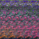 76092728411292669761820485960954938626413103164708286867377734379737767215105