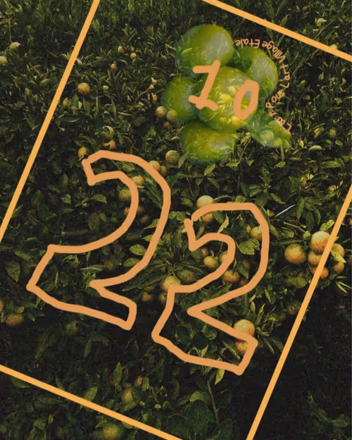 Item #67181328484922191777663840395747722961527159043690472677411573110555898019841 Media