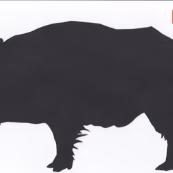  Japanese Zodiac＃１２　"boar"　切り絵『干支＃１２　いのしし』