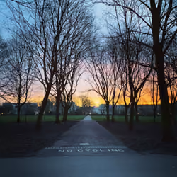 Early Morning Utopia