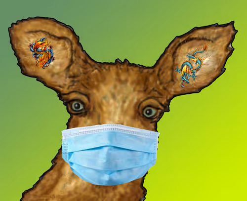 Item #102300512494347982292177025662668230999555010151489556744449886708470116253697 Media