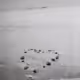 89423391017768263166482626730121346024336028137475889143419362952923760820225