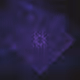 10637060891256710390297955030460433916463040288601657351597504414014020517889