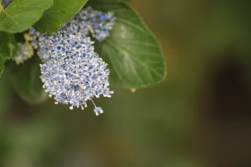 Item #51124555051901614330264480006545612592022390906904121289505624530522887684097 Media