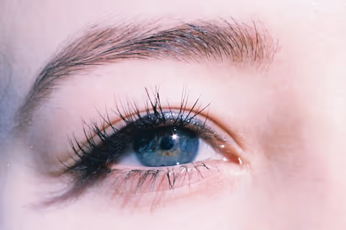 Item #49421393432894499121215694470303184244096795482679490930709574078259399753729 Media