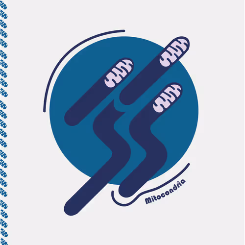 Item #28217420329942861487200254143315689988869562790284857015817128394198578364417 Media