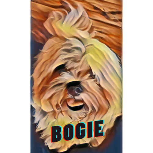 Untitled Collection #8946494