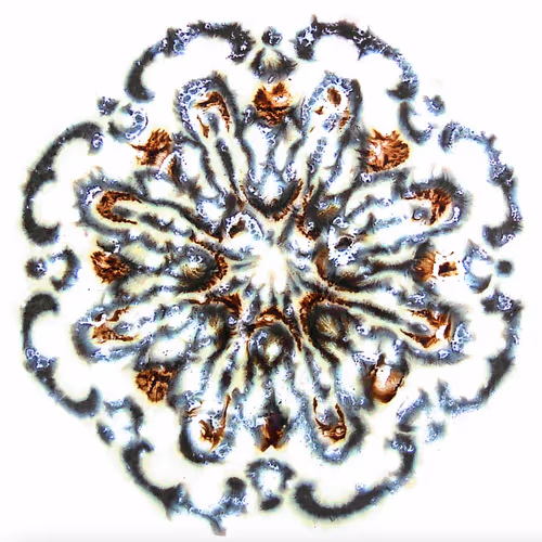 54688137389352509344092767467911615879738143210533731435142059659945882681345