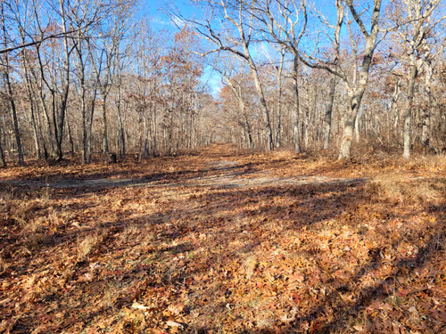 Item #34085441569699423005310991372941828806155687762378495952169943214268499361793 Media