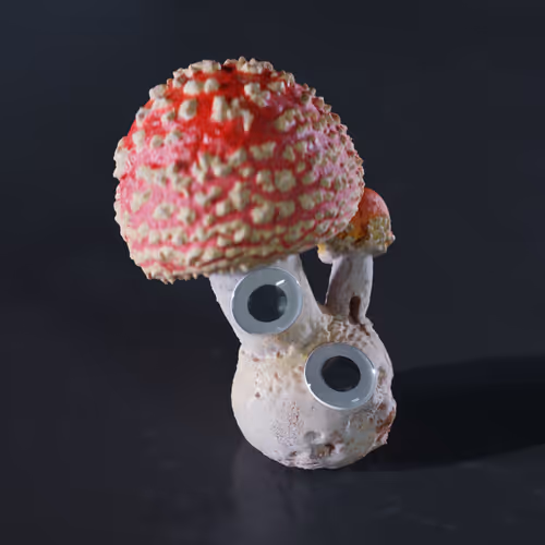 Item #28096282101634084878241106170944657820423565397987210011636401773247352274945 Media