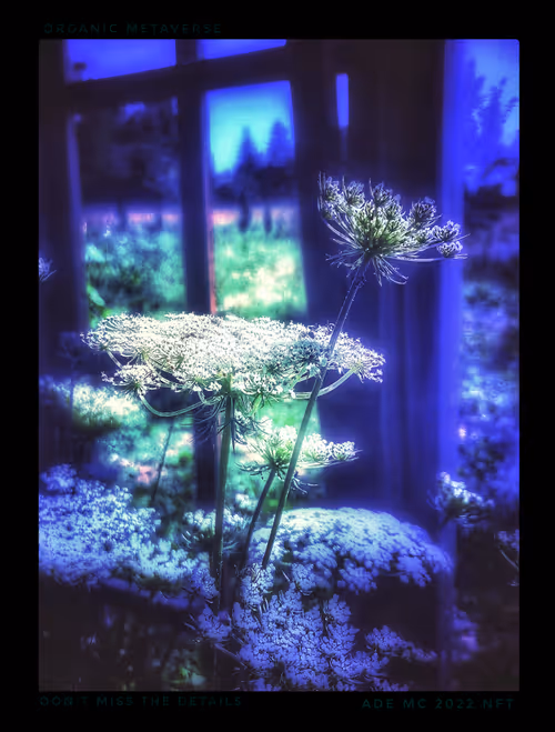 Item #3787080761074609709675817509753112159059746763483256848434353635861733572613 Media