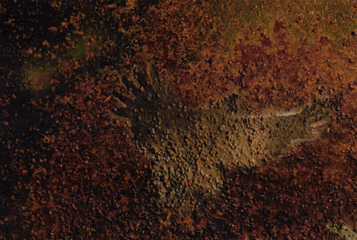 Item #23362206080031759863674021537611628681475652794224112579979904937636655005697 Media