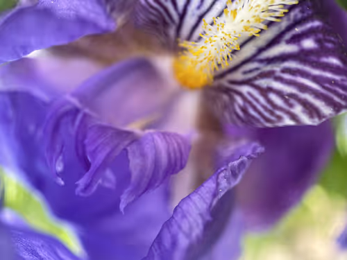 Item #101798116254510798330486236990451841615541533753866395116378150728997391040513 Media