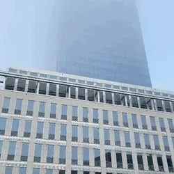 While They Are Awake