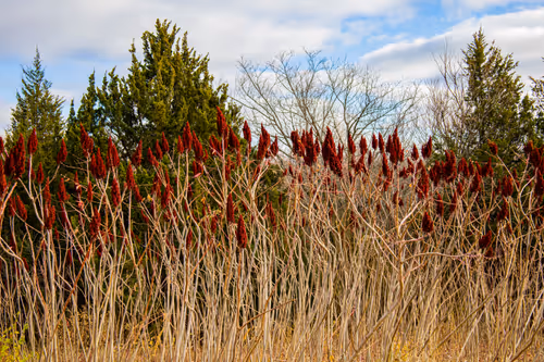 Item #19684374529110288056520570276703370007863893692966726326193838116294394642433 Media