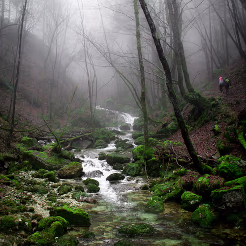 N Ature Ft By Frko