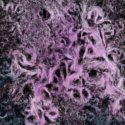 Vortex #1085