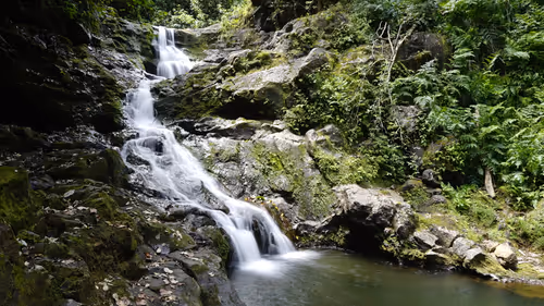 Item #111384347419130010131898734196272882001680551158239169533315207317466388627457 Media