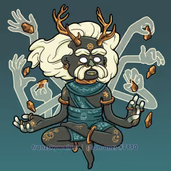 The Shaman